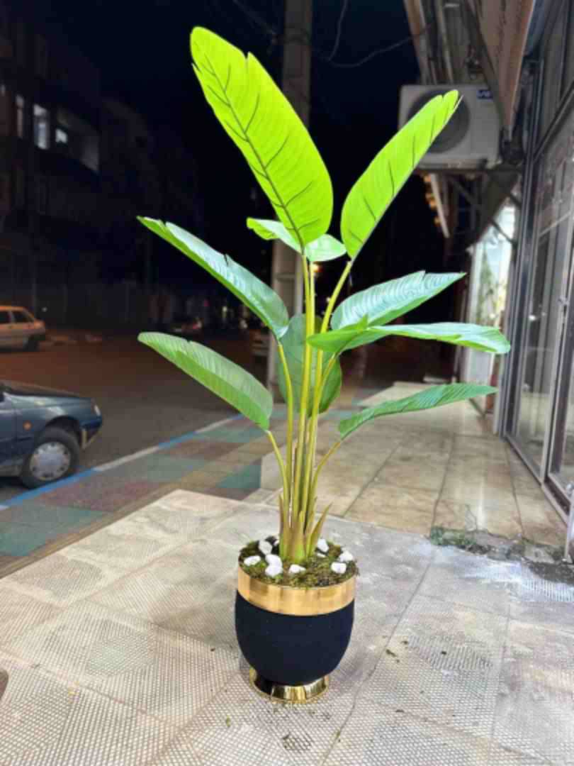 درختچه پرنده بهشتی سایز درختچه ۱۳۰ سایز گلدان ۳۰ سانت جنس خارجی و وارداتی برگهای لمسی وقابل شستشو جنس گلدان استیل